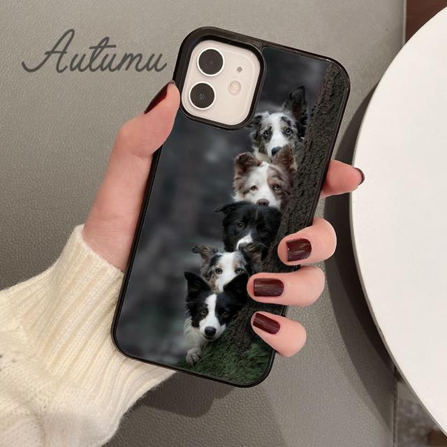 Süße Border Collie Hund Haustier Handyhülle für iPhone 11 12 13 14 Pro Max Mini XR XS SE 2020 6S 7 8 Plus Samsung Galaxy S21 S22 Cover