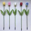 Beigong 2W LED Tulp Buiten Tuinpaal Lichten (70cm, Pak van 20)