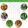 2026+ 250 Pcs Tomato Clips, Plant Support Clips and J Tomato Hooks, Plastic Trellis Clips Vegetable Cages Vine Garden Clips