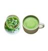 JARDIN Roasthiq Café Mori Matcha Blueberry Latte 10 Sticks