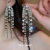 Silver Needle Long Chain Tassel Earrings - European American High-End Luxury Design Ear Drops