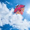 1 Meter Printed Multi-tail Kite For Children Easy To Fly Cartoon Kite Small Kite