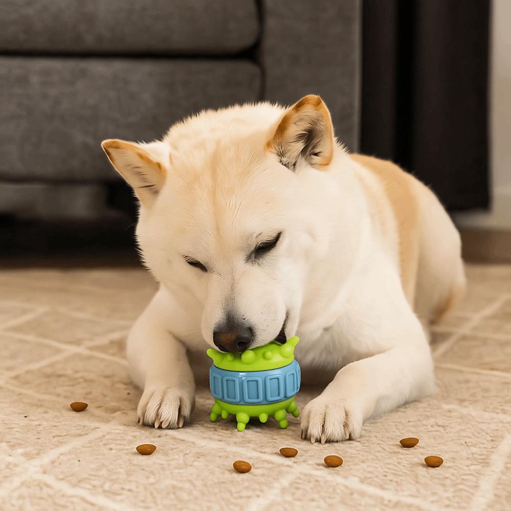 4 Pcs/set Wear Resistant Interactive Dog Toys TPR Teeth Cleaning Toy Self-Entertainment