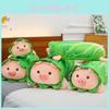 Plush Cabbage Pig Toy Cartoon Animal Doll Room Decoration Long Pillow Gift Kid
