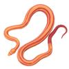 Corn Snake Simulation Model Ornaments Desktop Decoration Child Educational Toy