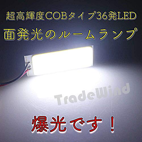 [TradeWind] Interior Light, 36-LED Panel Type, COB, 3 Types, with Socket, 12V, White, 10-Pack