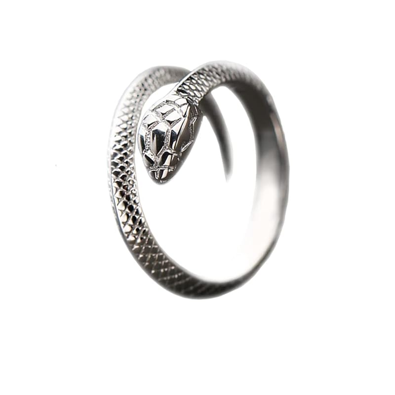 

[RAFER] ring punk style Simple ring Desire mens rings unique design silver plated unisex ring simple design Fashionable Super cool unisex