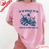 Retro Raccoon It Is What It Is Funny 90s Shirt It Is What Funny Raccoon Vintage Tshirt Vintage 90s Women Tees Women Clothes
