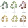 Simulation  Eucalyptus Colored Leaves Photo Shoot Photography Background Props Tabletop Home Decor