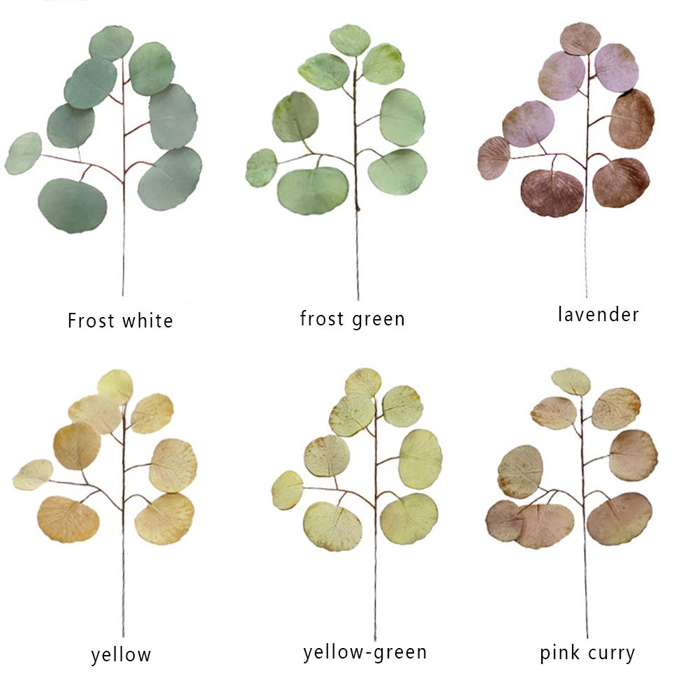 Simulation  Eucalyptus Colored Leaves Photo Shoot Photography Background Props Tabletop Home Decor