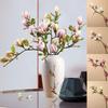 High Imitation Film Hand Feeling Magnolia Flowers Simulation Flowers Fake Flowers Decorative Living Room Entrance Table Ornament