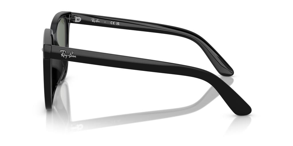 Sunglasses 0RB4401D BLACK 55 Ray-Ban