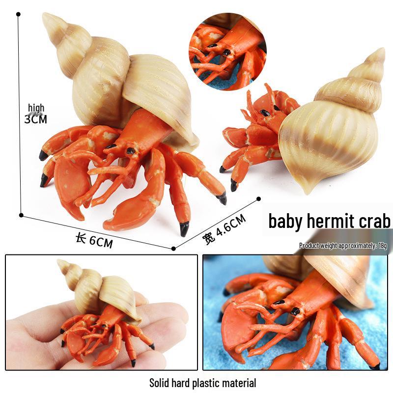 Cross-Border Children's Cognitive Amphibian & Reptile Tortoise Model Fish Tank Ornament Toy