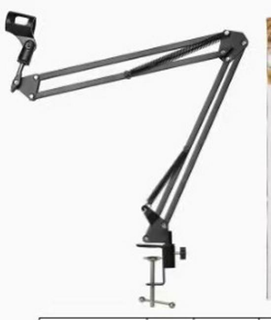 Multifunctional Desktop Stand with Dual Microphone, Fill Light, and Mobile Phone Holder for Beauty and Live Streaming