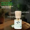 Sugandhim Mogra (Jasmine) Fragrance Diffuser 10ml, Strong Long-Lasting Aroma Diffuser Oil for Living Room, Bed Room, Office, Car| Multi Purpose H