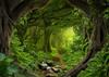 Pânză 7x5ft Temă Pădure Naturală Fundal Fotografie Arbuști Pădure Tropicală Cale Stâncoasă Peisaj Sezon Primăvară Fundal pentru