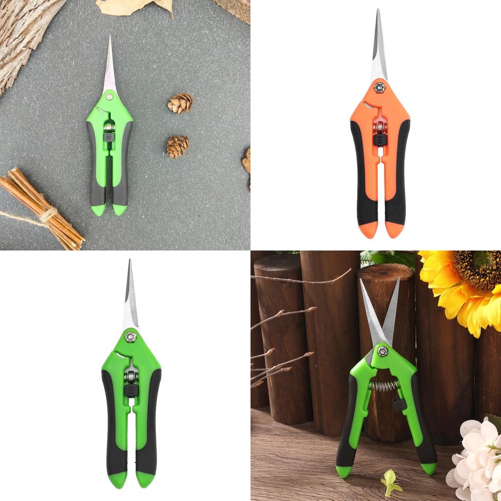 Gartenschere mit Edelstahl zum Beschneiden von Obstbäumen und für die Gartenarbeit im Freien