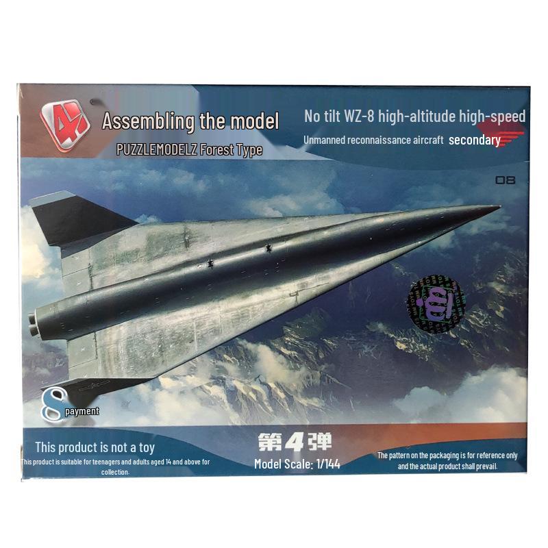 F14 Tomcat 4D Assembly Model: US Military Aircraft Toy with Russian Tiger Design