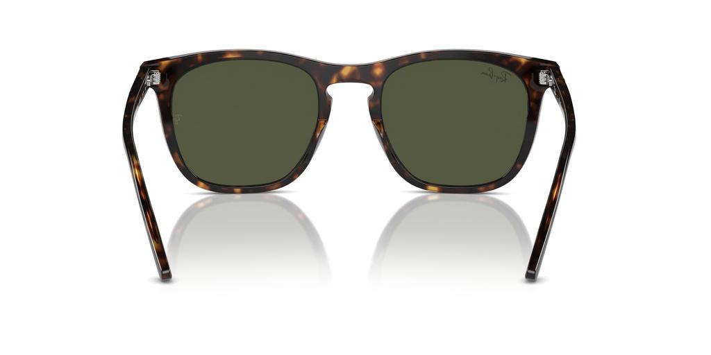 Sunglasses RB2210F HAVANA 53 [Ray-Ban]