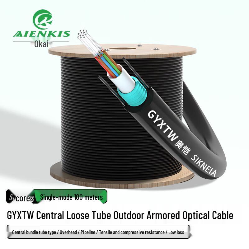 

AIENKIS GYXTW Outdoor Armored Single-Mode Fiber Cable 100 Meters