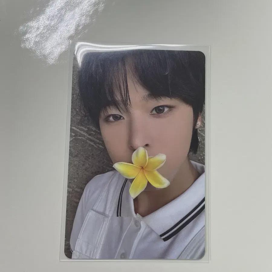 

Ncitywish Lique Surf Photocard