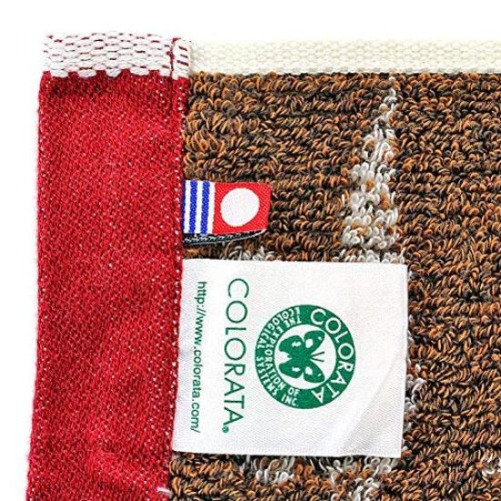 Carolata Cretaceous Washcloth 34 x 35 cm Beige Imabari Made in Absorbent Mini Towel Cotton Jacquard Perfect Gift Dinosaur/Pterosaur (approx. / /