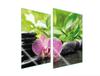 SZKLANA PŁYTA OCHRONNA DO KUCHNI 2x35x52 ORCHIDEA