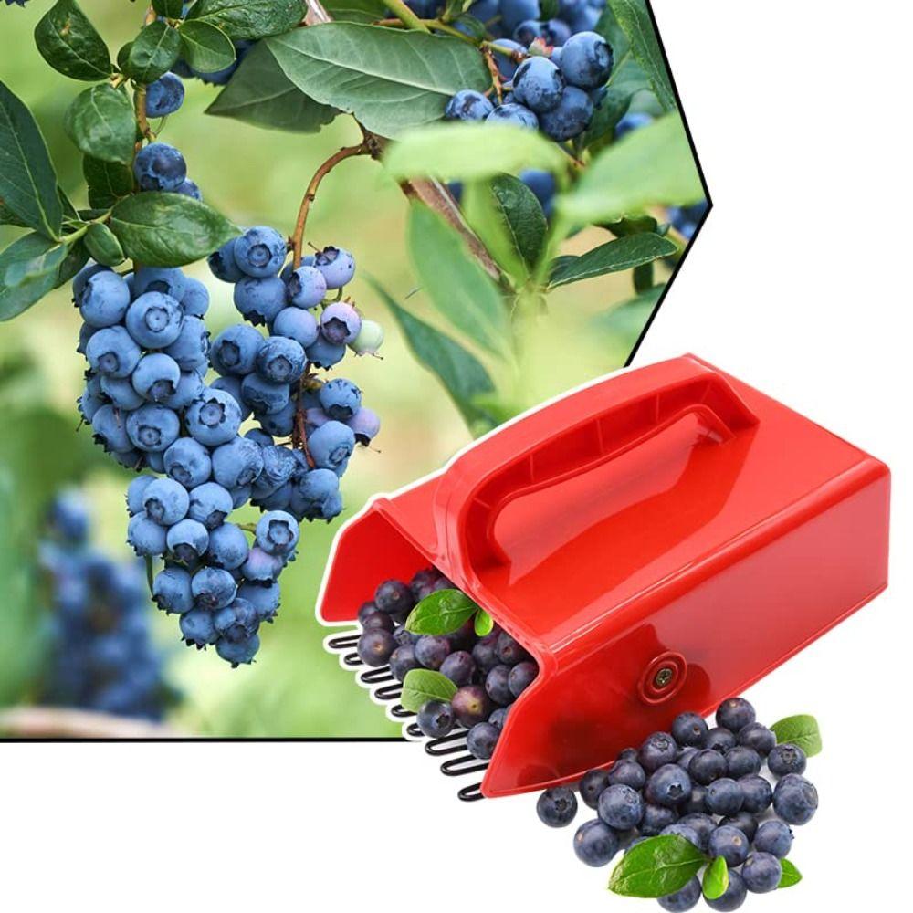 Picking Berry Harvester Scoop Metal Comb Rakes Blueberry Picker Scoop Design Effective Berry Picking Rakes Fruit Harvesting