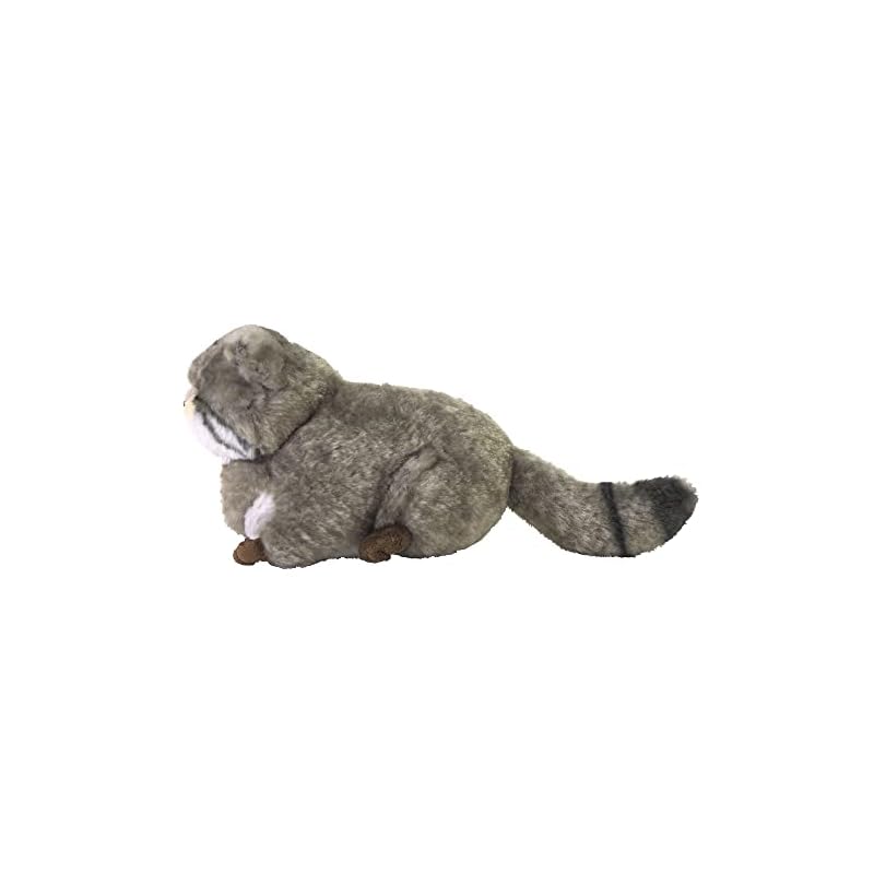 Sun Lemon Fluffy's Pallas's Cat, Small, 15.24 x 9.91 x 17.78 cm, Plush Animal