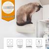 Kedi – Kedi Eğitim Aparatları
