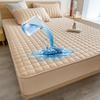 2025 Waterproof Thicken Mattress Cover Quilted Latex Mat Bed Covers Pad Skin-Friendly Fitted Sheet Protector Bedspread