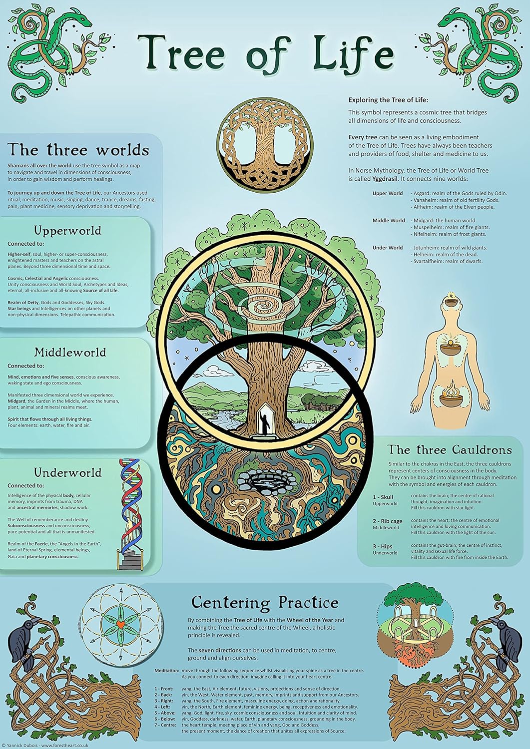 Tree Of Life Wall Art Poster Infographic Druid Tree Of Life Correspondance Chart Vintage Metal Tin Sign Farmhouse Wall Decor P 20x30cm（7.8x11.8inch）