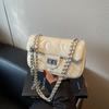 Summer Small Bag Women's New Trendy Versatile Chain Messenger Bag High-end Shoulder Small Square Bag