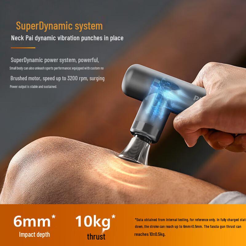 Philips PPM7308 Professional Full Body Muscle Massager