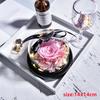 Valentines Day Gift for Girlfriend Eternal Rose LED Light Flower In Glass Cover Mothers Day Birthday Party Wedding Decoration