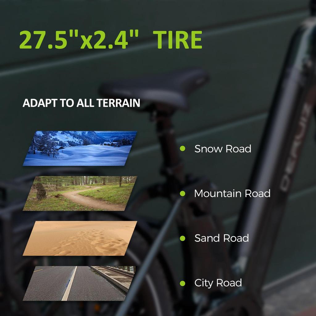 Electric Bicycle DERUlZ Lapis 27.5" E-Mountainbike with 250W 110Nm Mid-Drive Motor, 48V Battery,10 Speed ,,Max Range 161Km Load 150kg