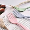 Tableware Set - Spoon, Chopstick, Fork with Storage Case and Goodie Bag, Children Day Gift, Wheat Straw