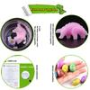 Soak in water to hatch dinosaur eggs, children's educational toys, birthday party, creative novelty science and education toys