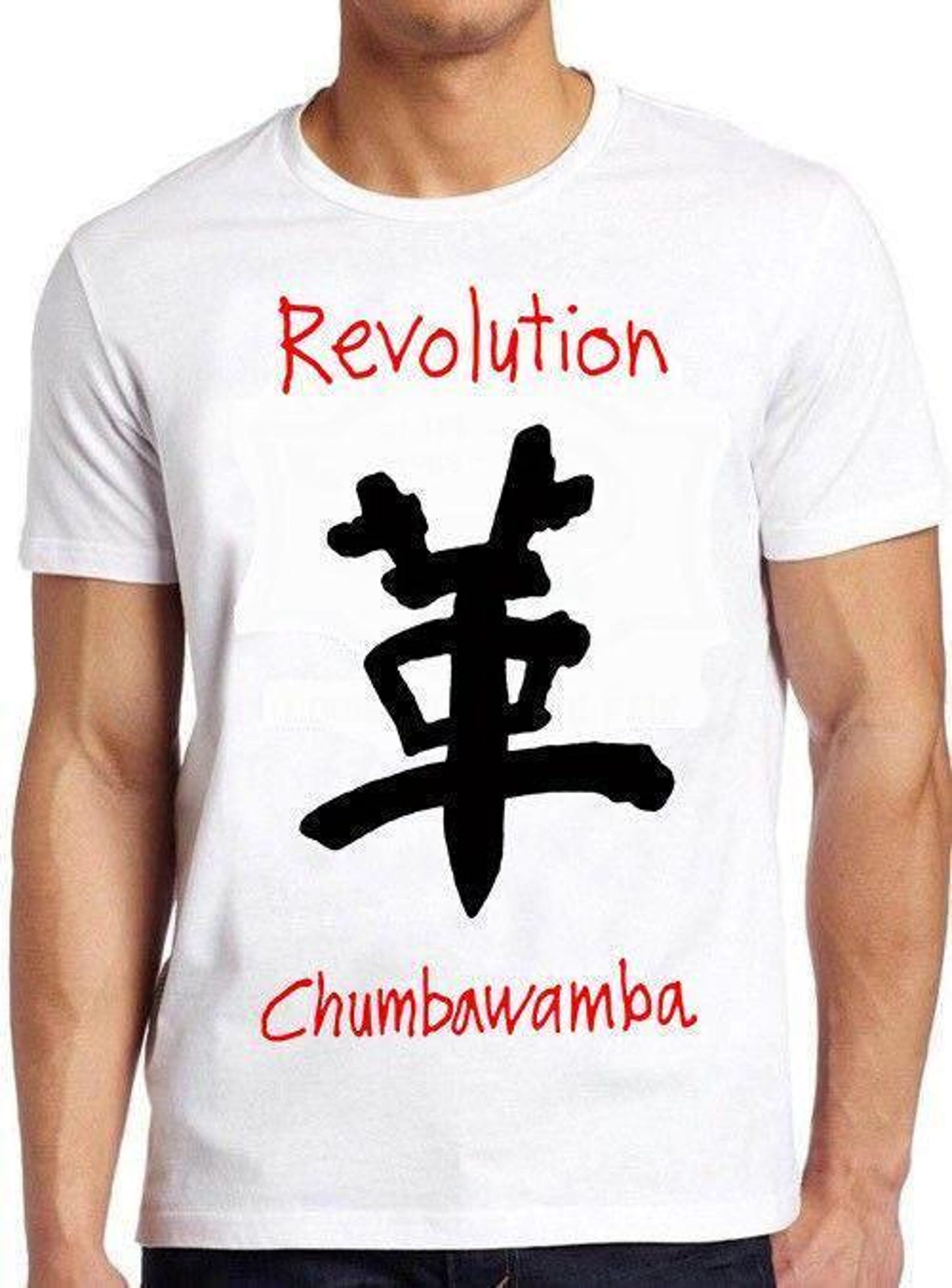 Chumbawamba T Shirt B3212 Revolution Punk Rock Music Retro Cool Top Tee S