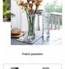 Extra Large Transparent Glass Vase for Hydroponic Bamboo & Fresh Flower Arrangements