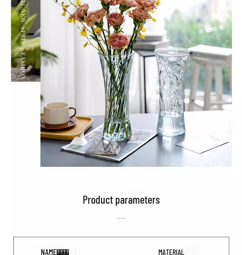 Extra Large Transparent Glass Vase for Hydroponic Bamboo & Fresh Flower Arrangements