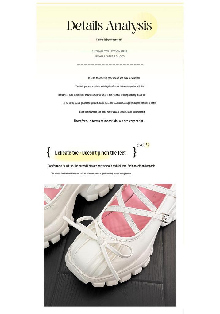 In Stock 2026: Silver Thick Heel Platform Loafers for Petite Women - French Mary Jane Style