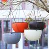 Hydroponic Hanging Flower Basket With Drainer and Hanging Chain Plant Pot  Outdoor