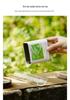 Eco-Friendly Green Tea Gift Box with Longjing, White Tea, Biluochun, Maojian, Cup & Iron