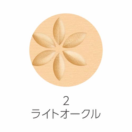 CEZANNE Ultra Cover UV Pact 2 Light Ocher 11g Foundation