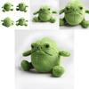 Ricky Rain Frog Plush Toy Adorable And Huggable Stuffed Animal Gift For Kids