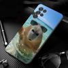 Animal Capybara Phone Case For Samsung Galaxy S25 S24 S23 S22 S21 Ultra S24 S23 S22 S21 S25 Plus S24 S20 FE