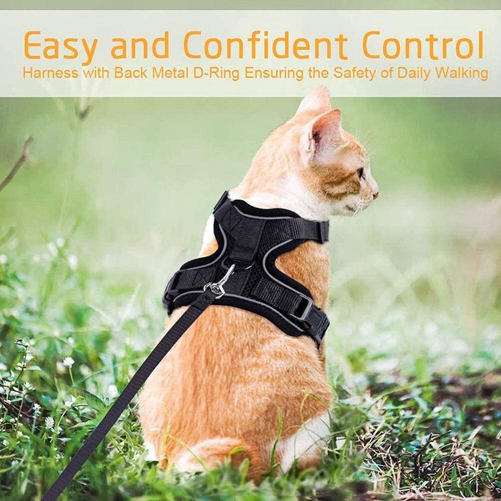 Breathable Cat Harness and Leash Escape Proof Cat Chest Strap Mesh Dog Harness  Training