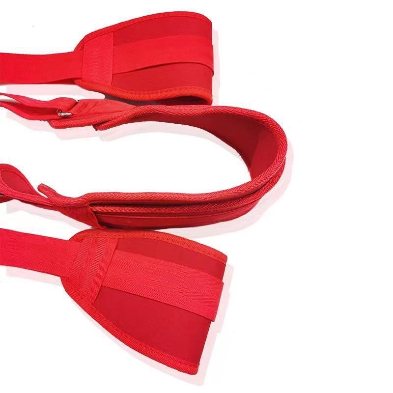 Carmen 2nd Gen Adult SM Swing with Restraints