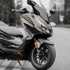 Used for HONDA FORZA 350 Motorcycle Accessories The Line Pattern Printing Protection Stickers Faring Kits Paint Parts Area